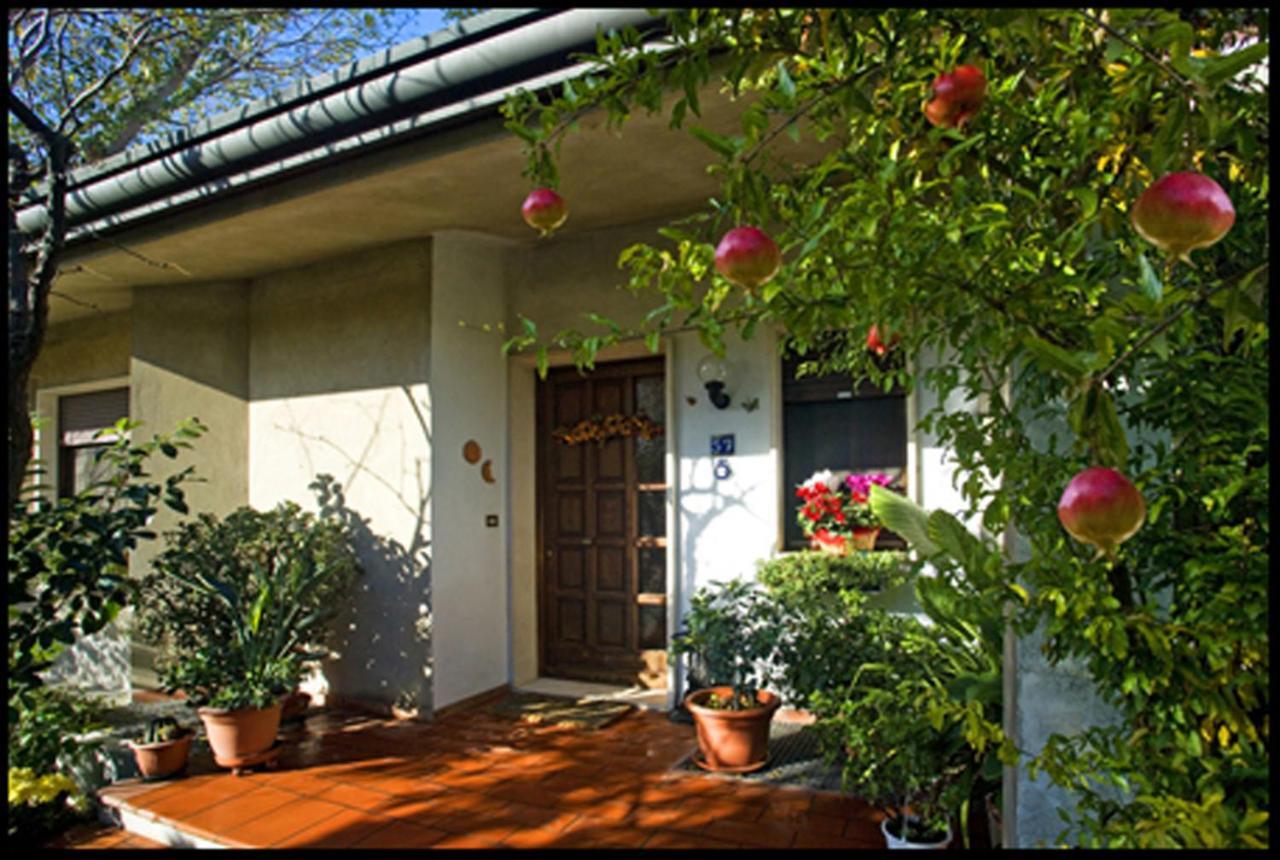 B&B Oasi Di Venezia מראה חיצוני תמונה